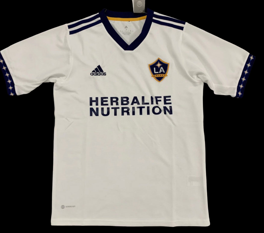 LOS ANGELES GALAXY DOM