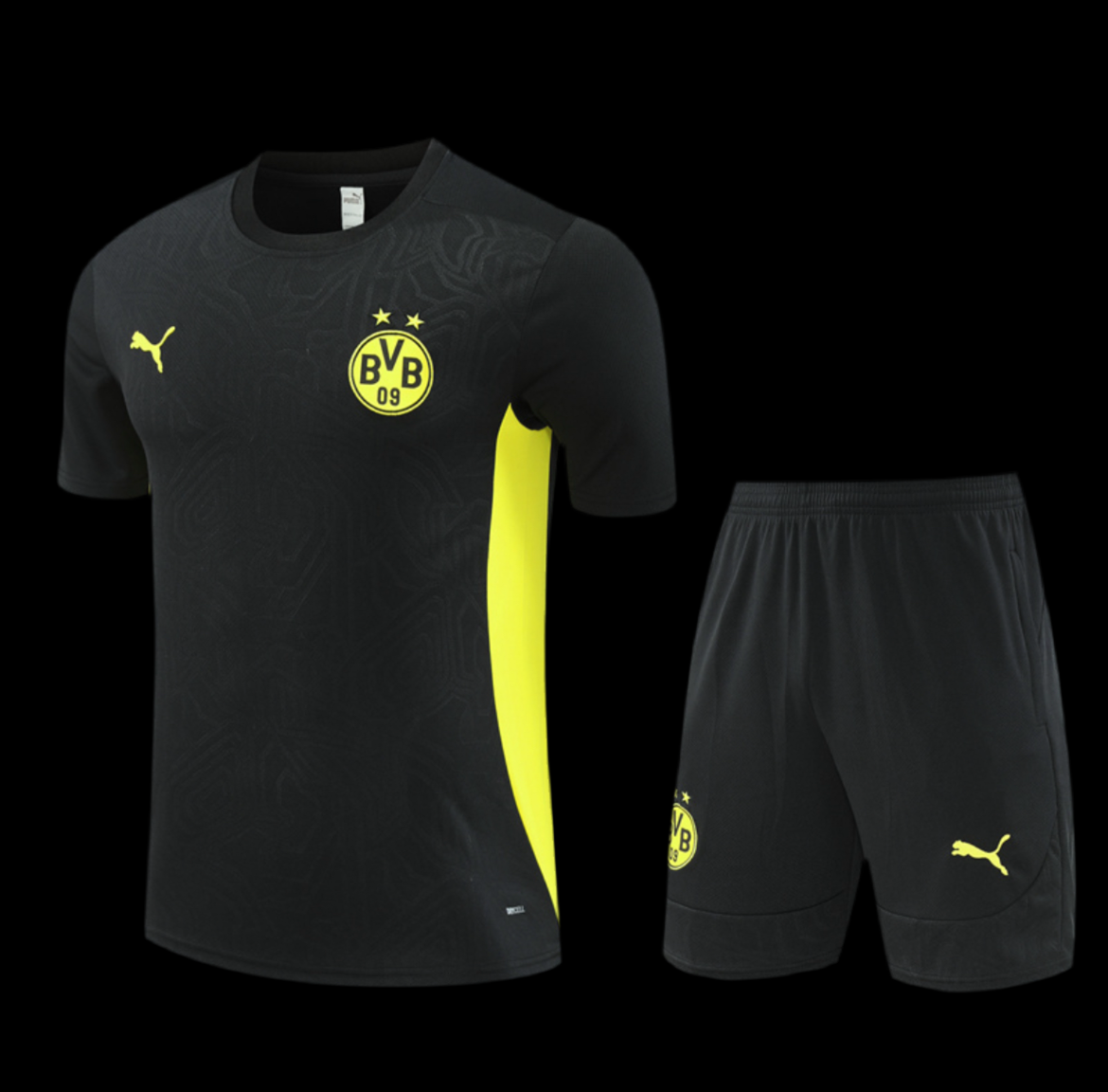 DORTMUND 24/25 TRAINING KIT